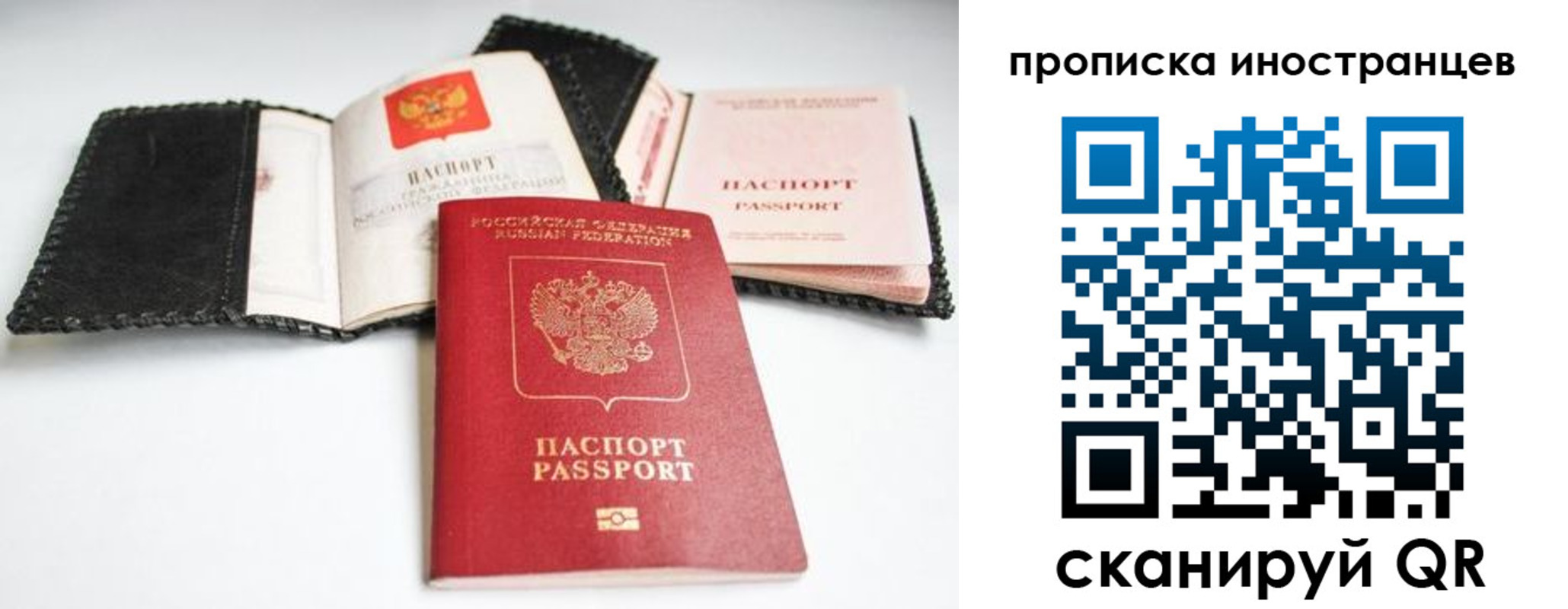 прописка паспорт в Вологодской области